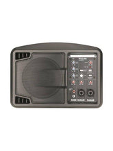 Pulse ASM5D PA Speaker Monitor Foldback 150W